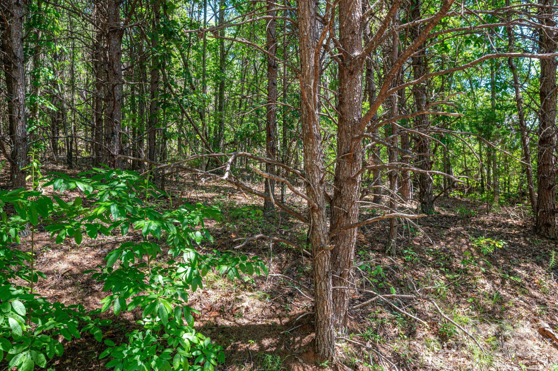 Lot 12 Meadow Crossing Drive