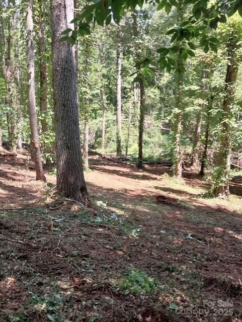 105/113 Edgewater Point #244/245 - Photo 2