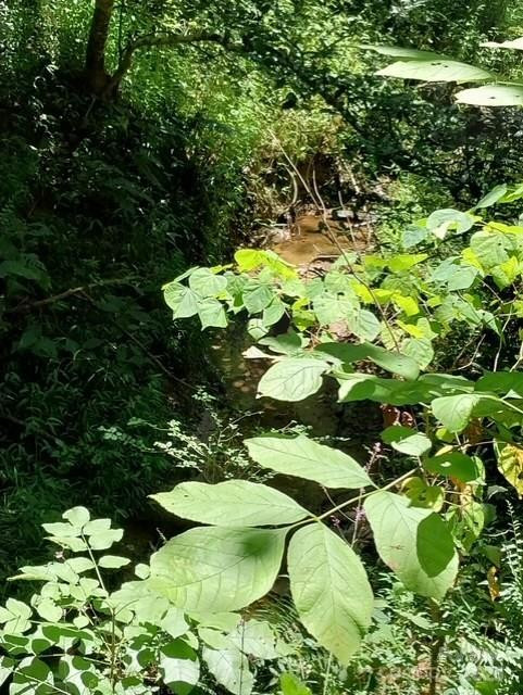 105/113 Edgewater Point #244/245 - Photo 7