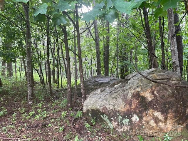 00 Cherry Hill Street - Photo 2