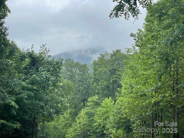 00 Cherry Hill Street - Photo 5