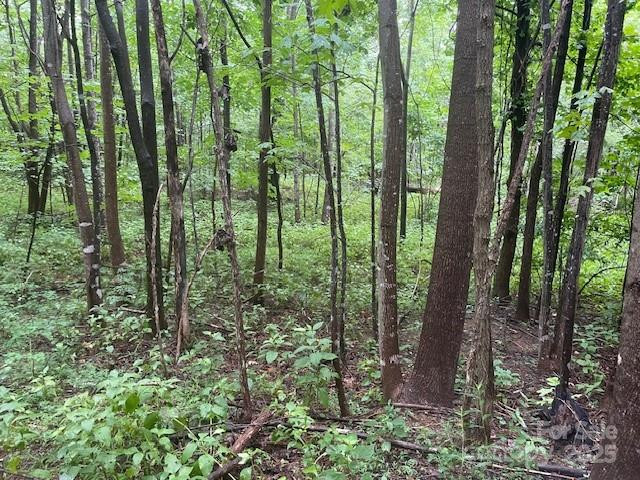 00 Cherry Hill Street - Photo 7