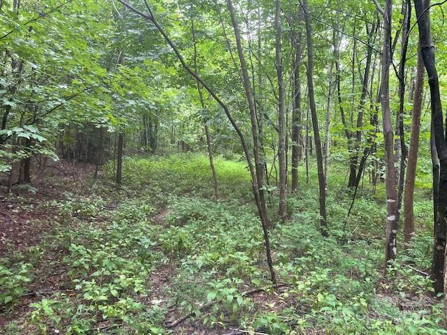 00 Cherry Hill Street - Photo 8