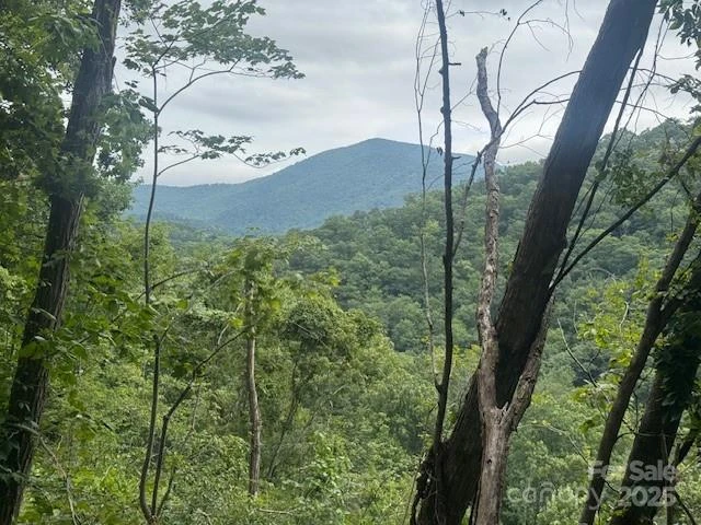 000 Satellite Mountain Road - Photo 2
