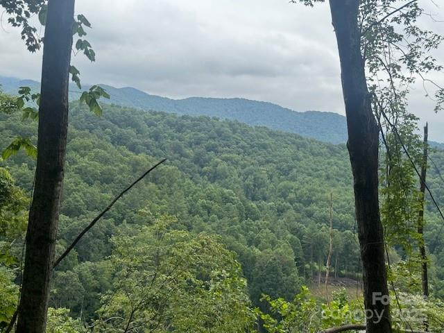 000 Satellite Mountain Road - Photo 3