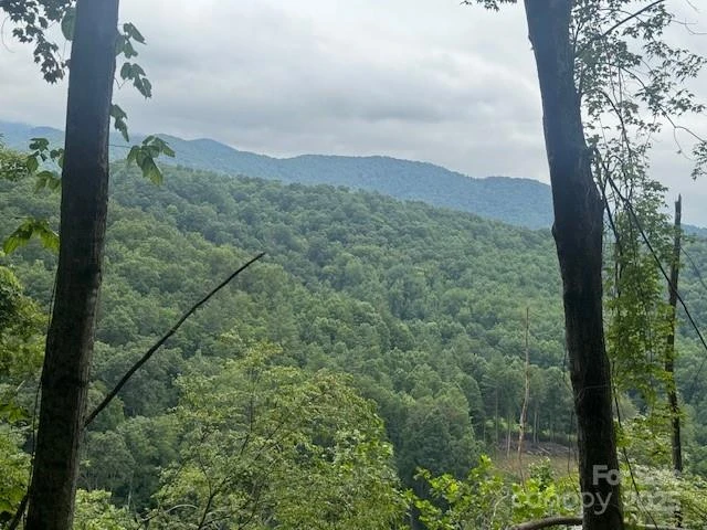 000 Satellite Mountain Road - Photo 3
