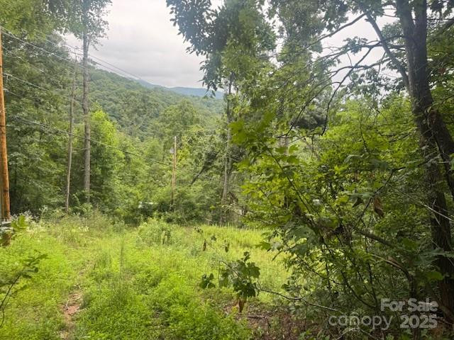 000 Satellite Mountain Road - Photo 4