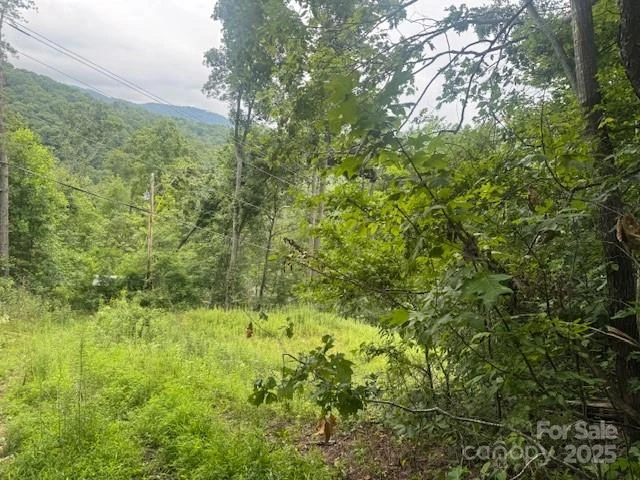 000 Satellite Mountain Road - Photo 5