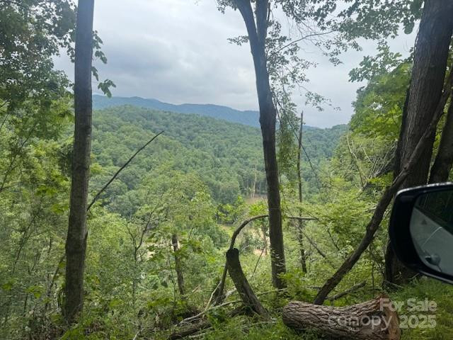 000 Satellite Mountain Road - Photo 6