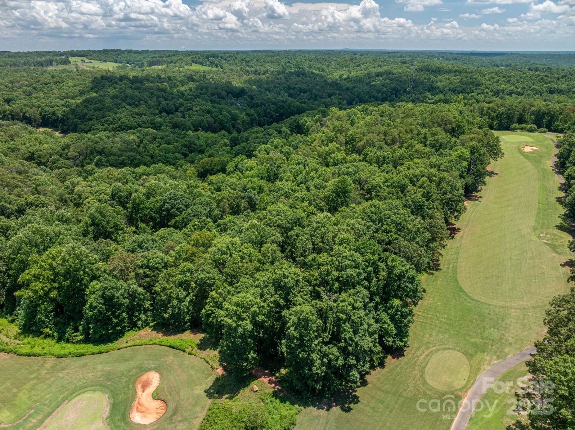 Lot 219 Plantation Drive - Photo 5