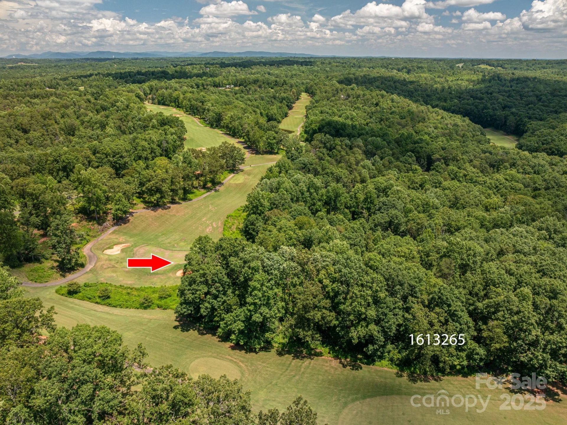Lot 219 Plantation Drive - Photo 7