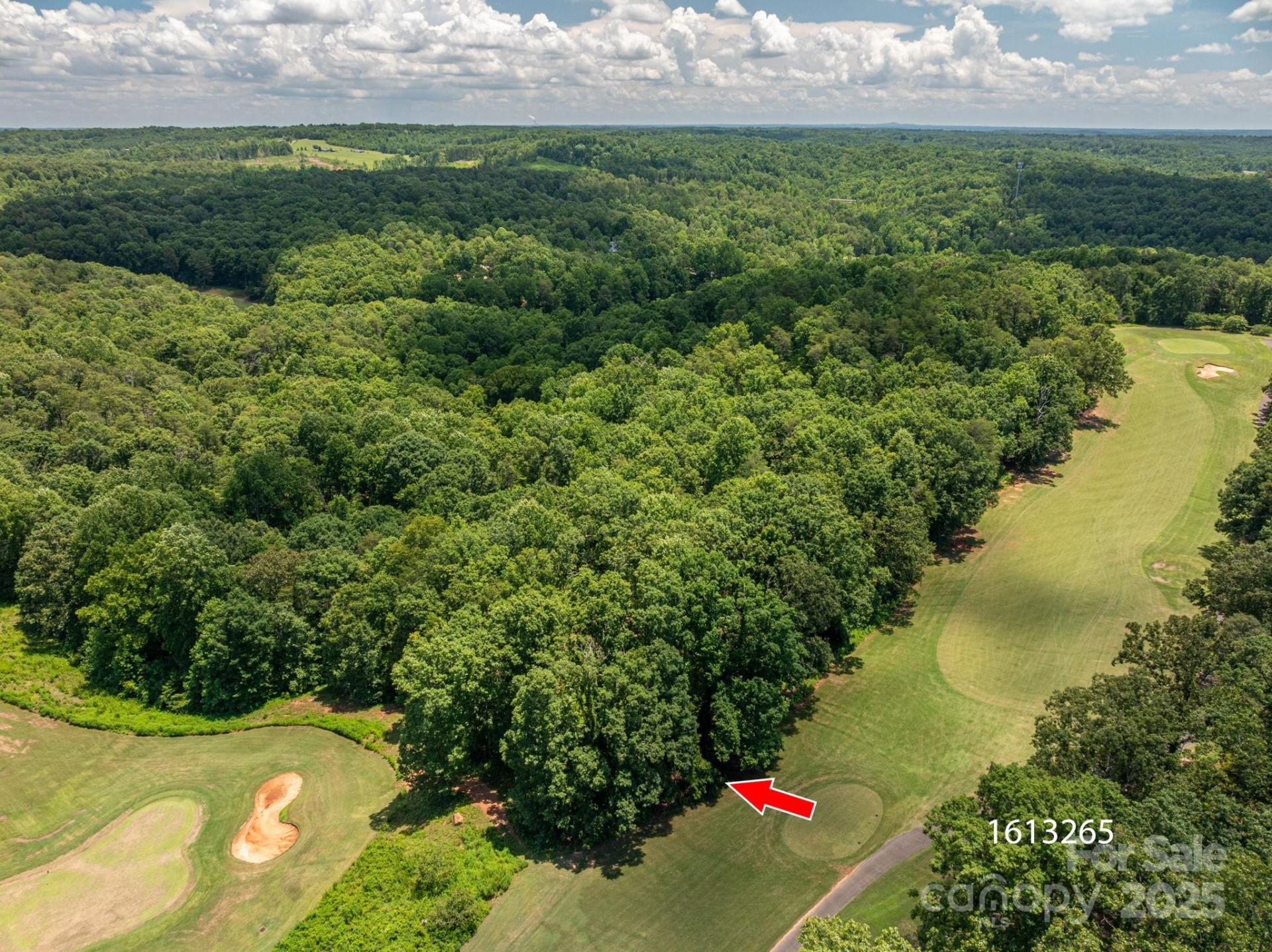 Lot 219 Plantation Drive - Photo 8