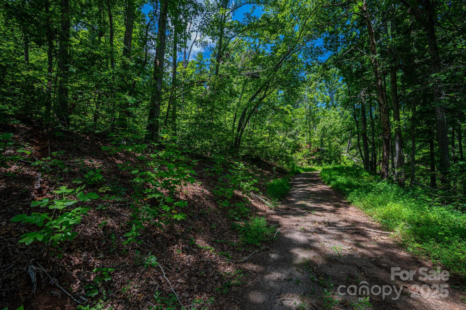 Lot 221 Plantation Drive - Photo 2