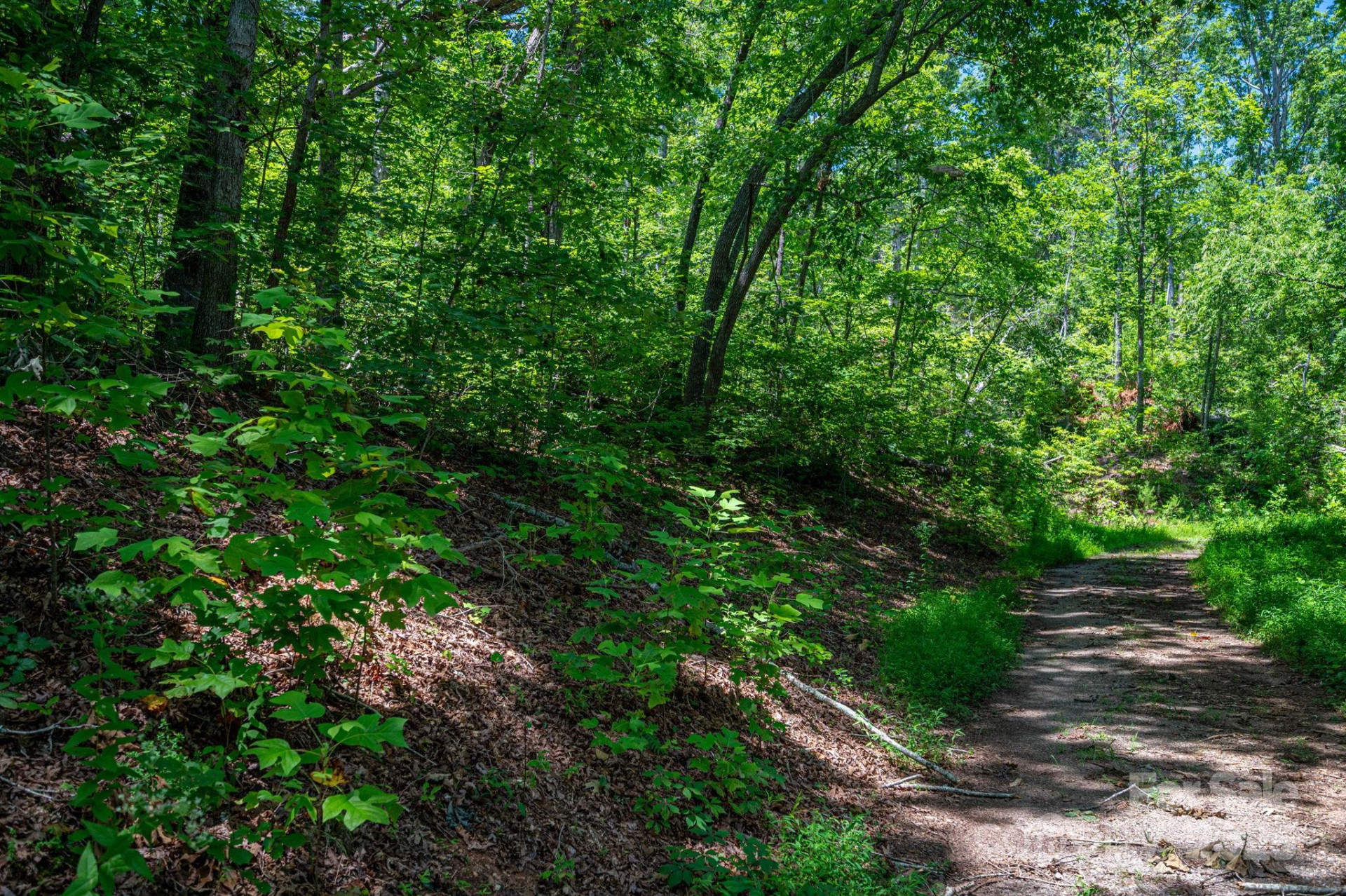 Lot 221 Plantation Drive - Photo 3