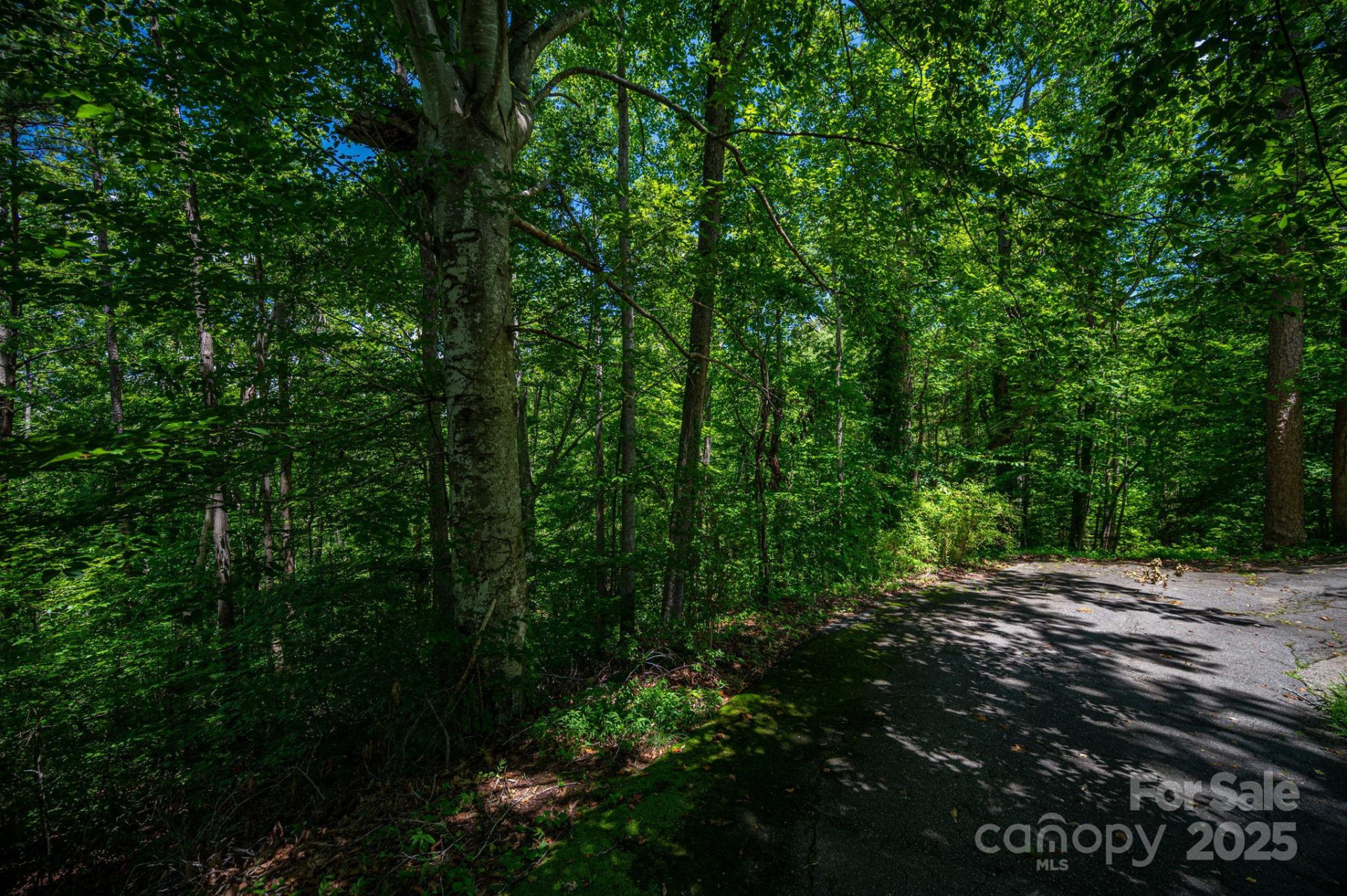 Lot 167 Plantation Drive - Photo 22