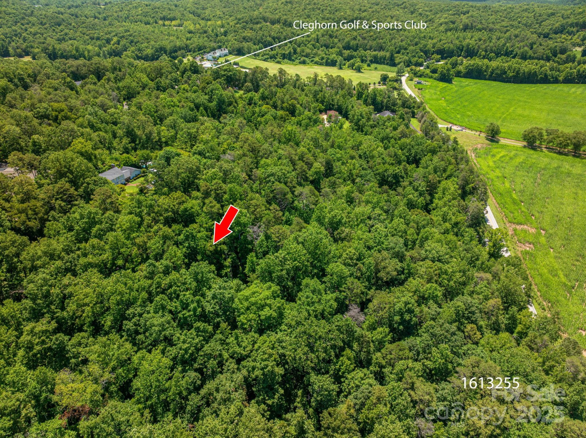 Lot 167 Plantation Drive - Photo 4