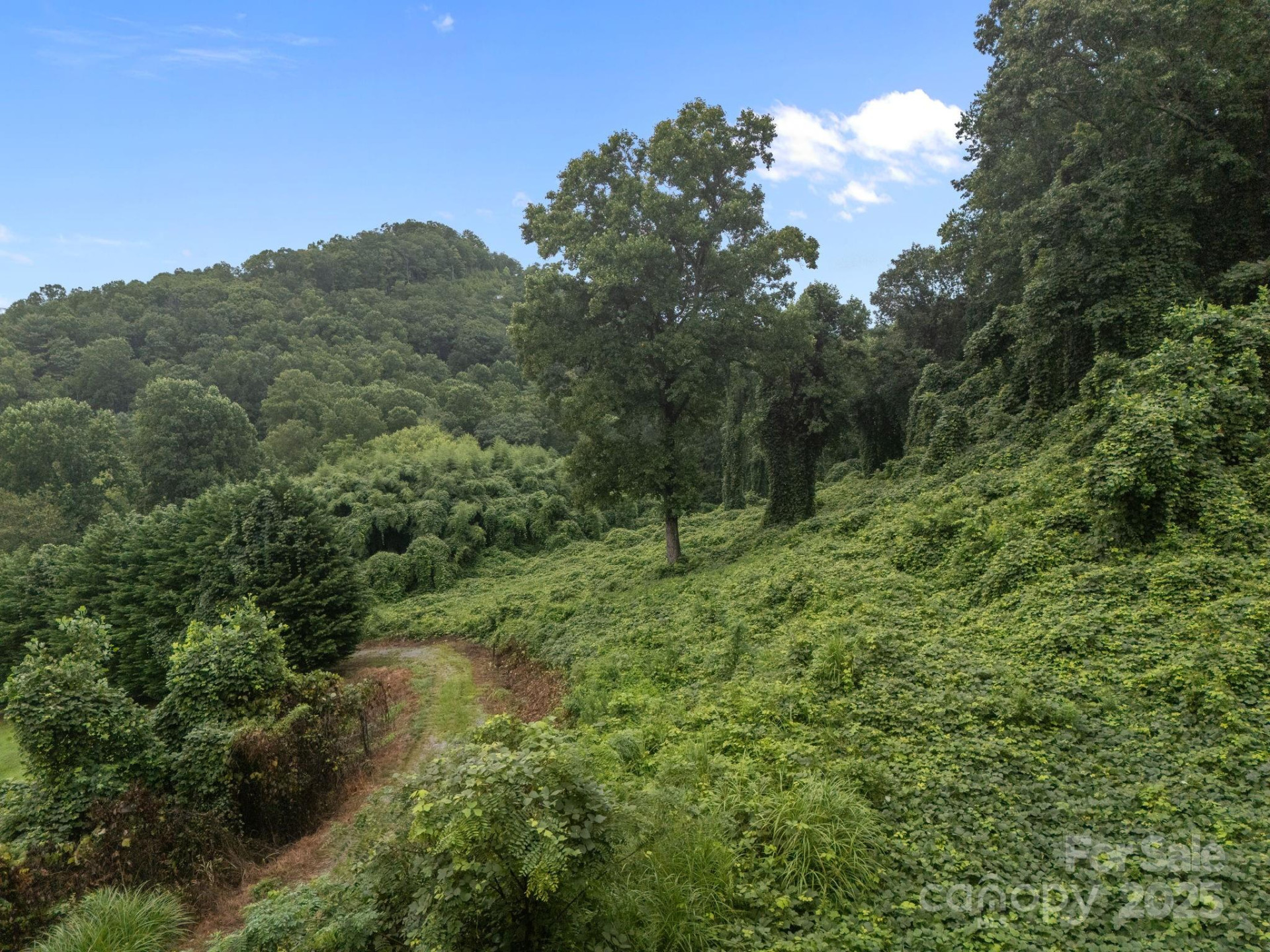 111 Stirling Lane - Photo 12