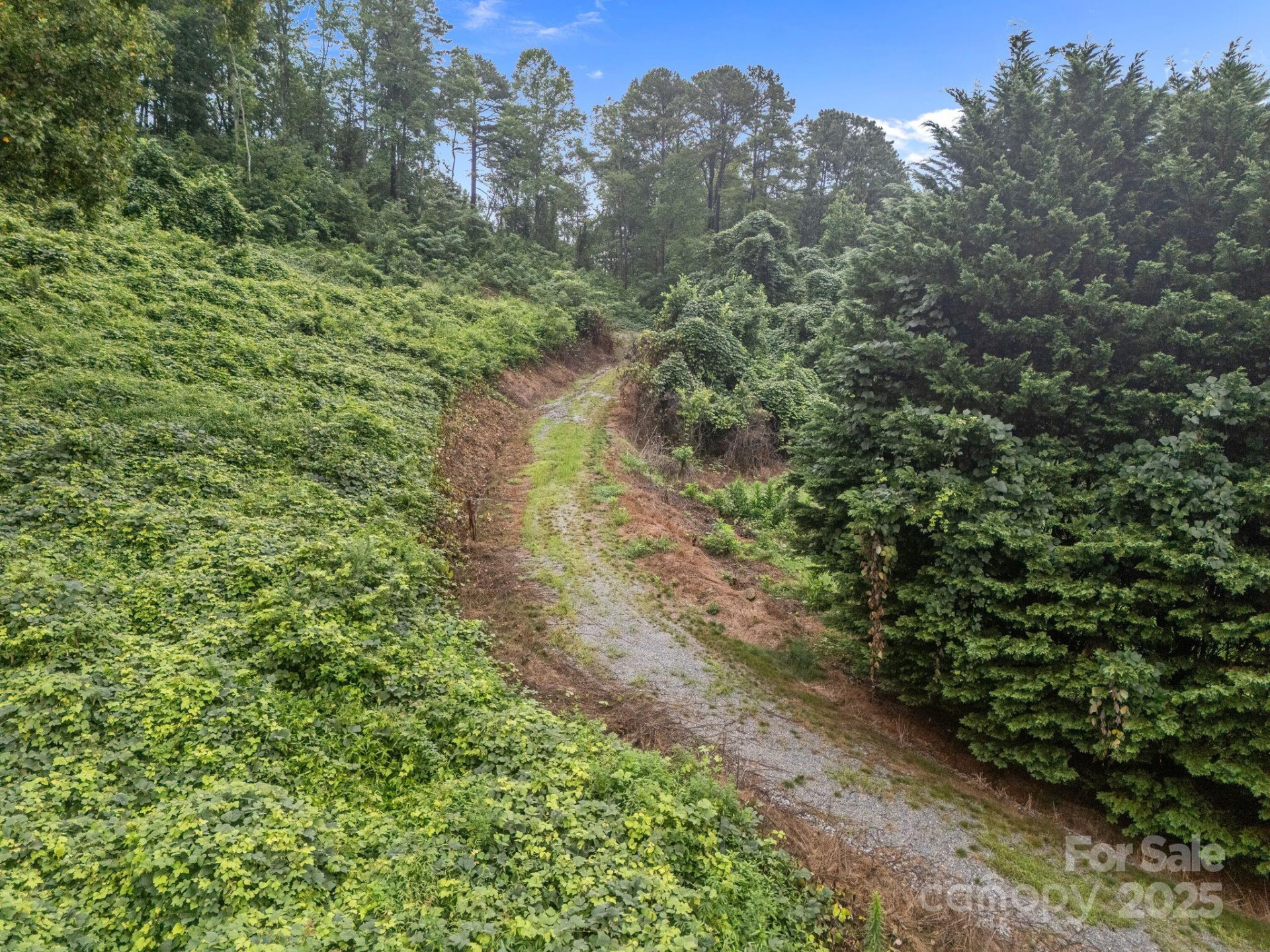 111 Stirling Lane - Photo 16