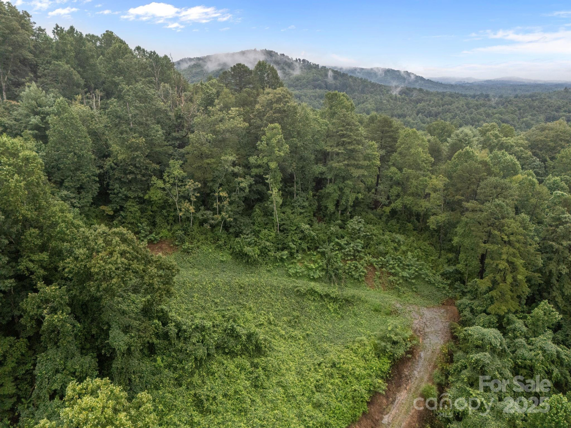 111 Stirling Lane - Photo 7