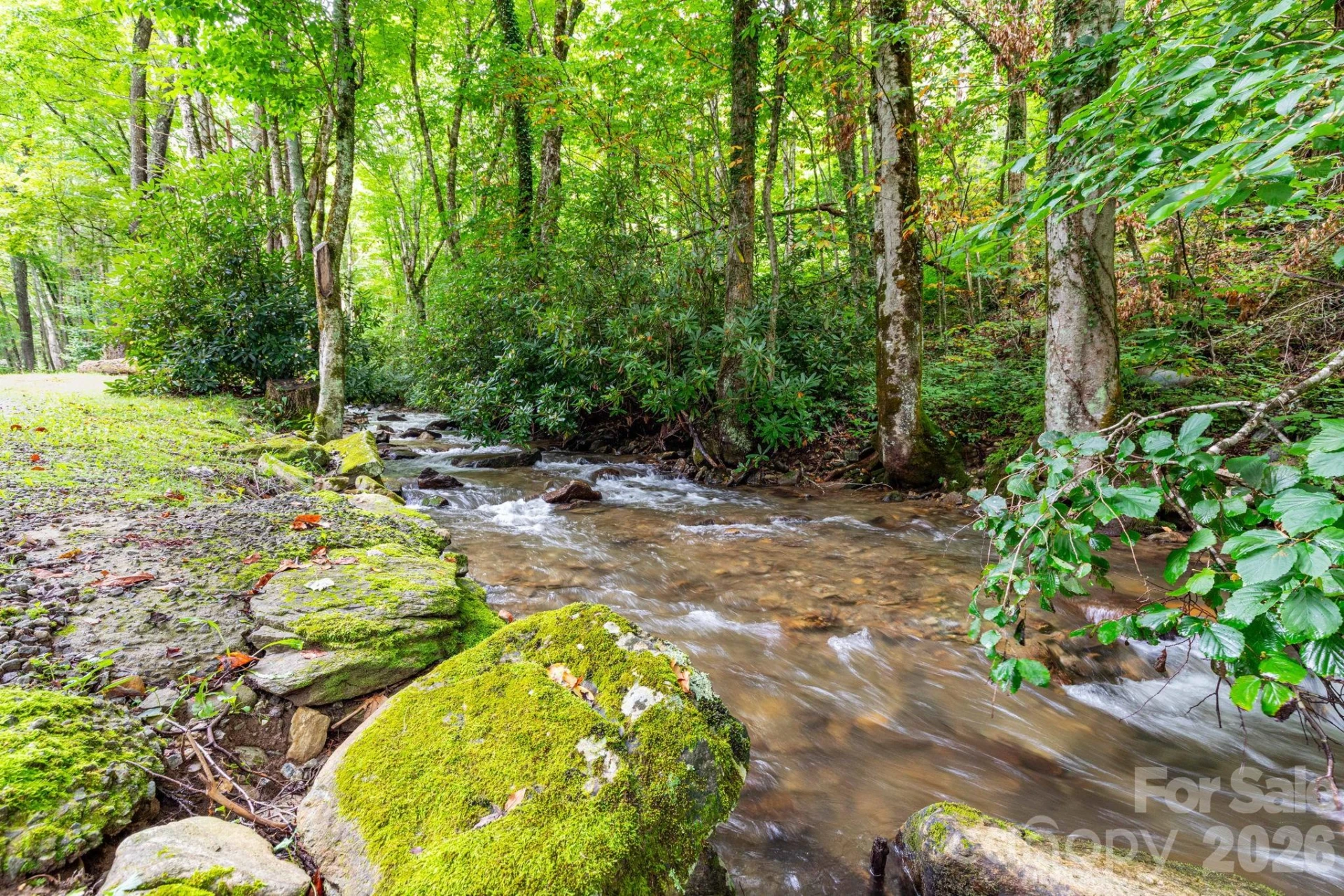 107 Cabin Fever Trail - Photo 29