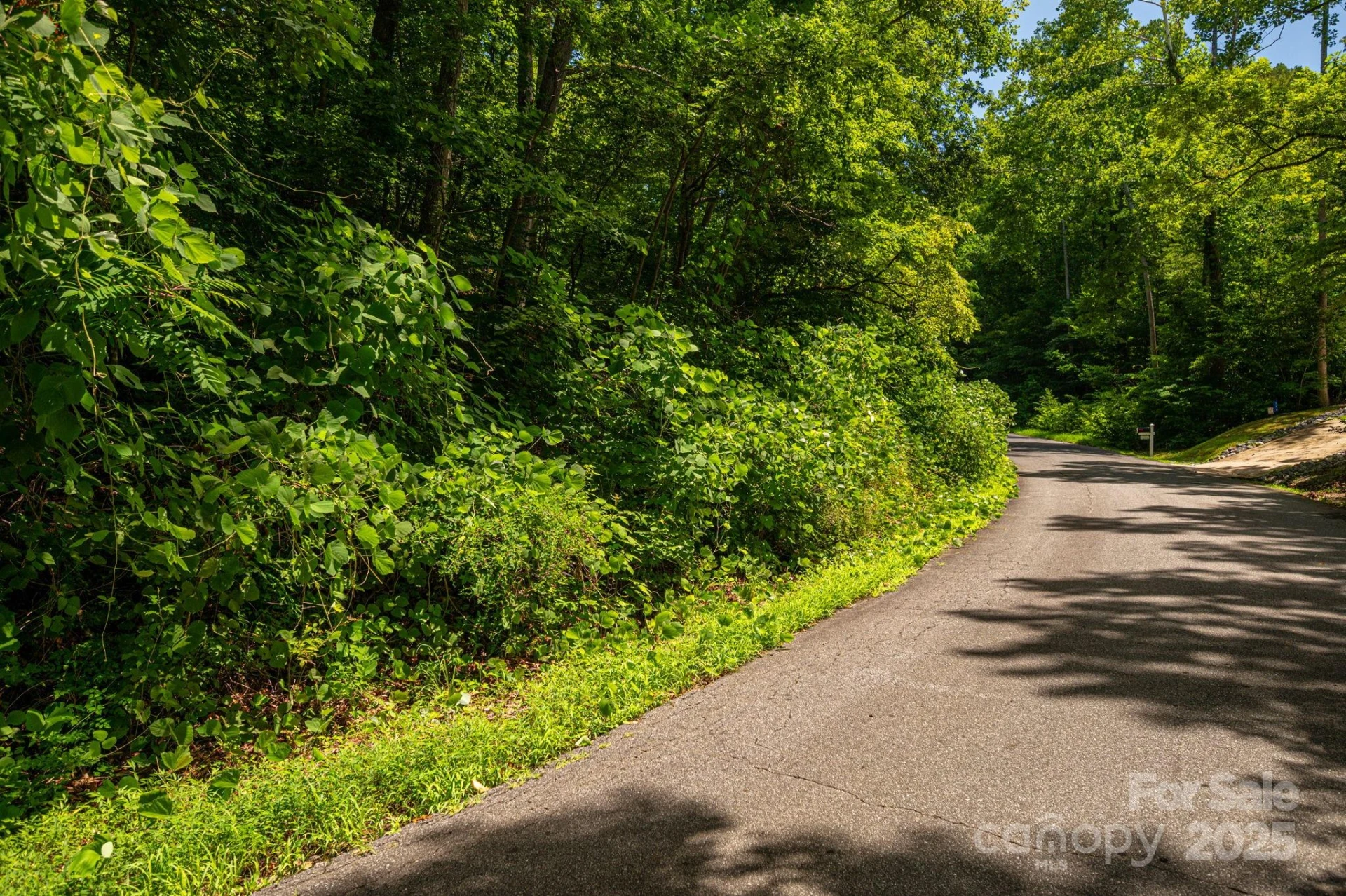 Lot 164 Plantation Drive - Photo 2