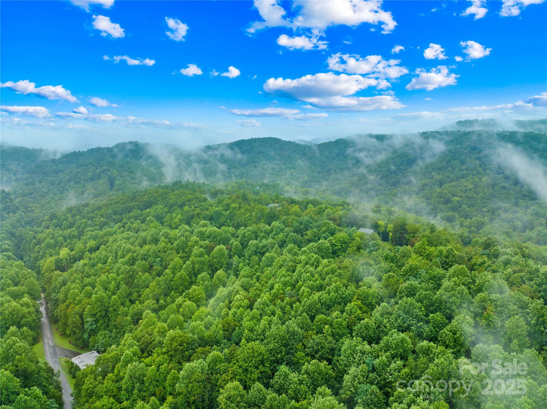 262 Feather Falls Trail #3 - Photo 13