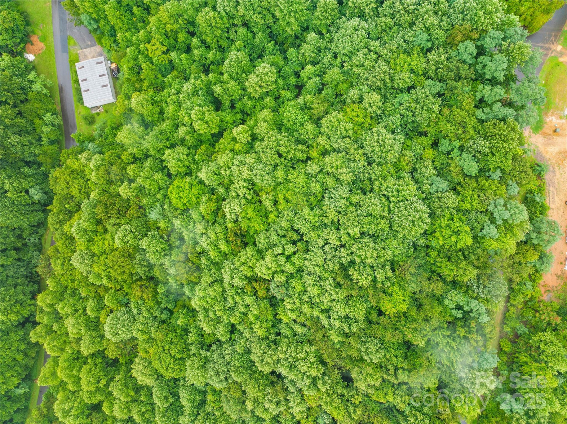 262 Feather Falls Trail #3 - Photo 14