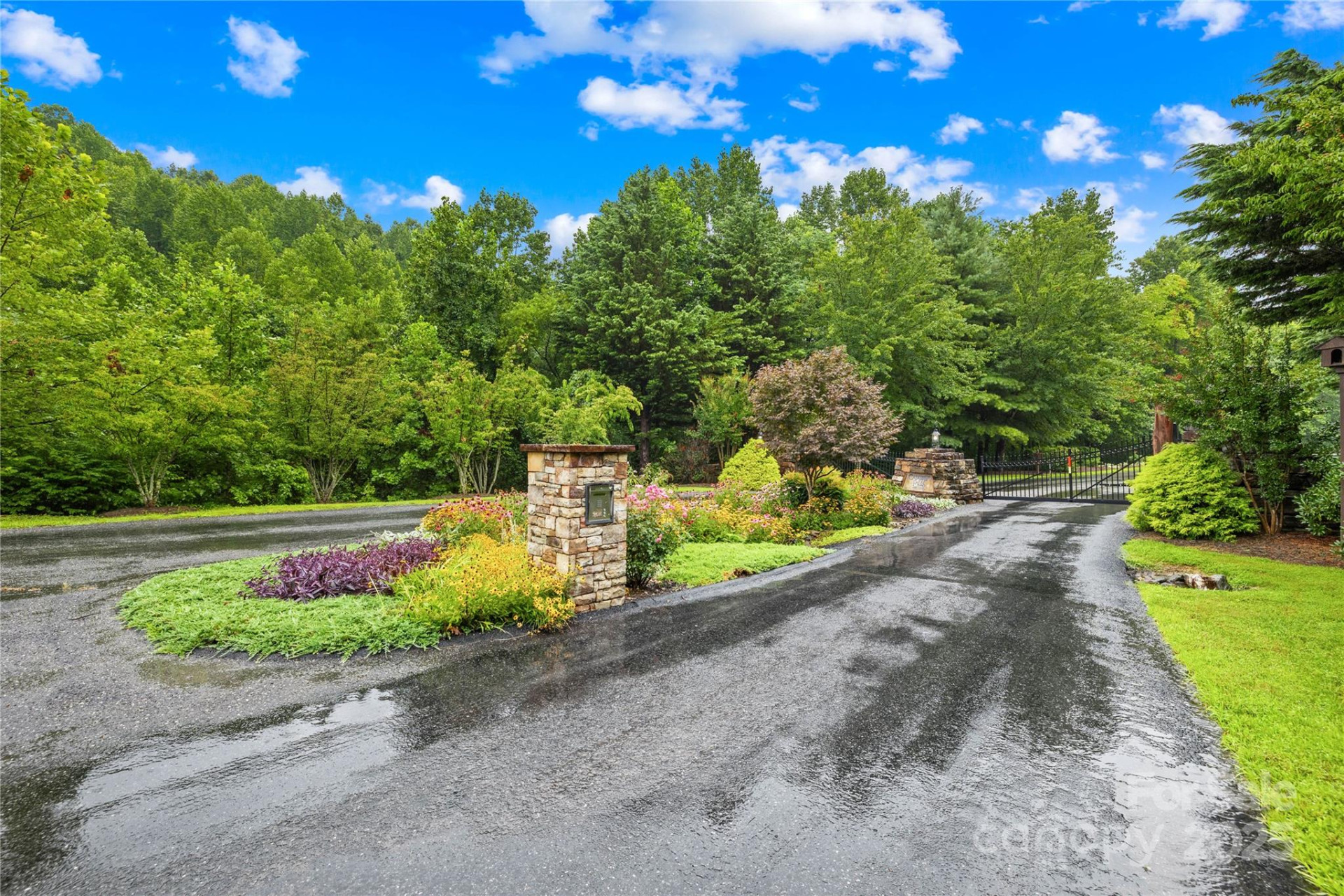 262 Feather Falls Trail #3 - Photo 4