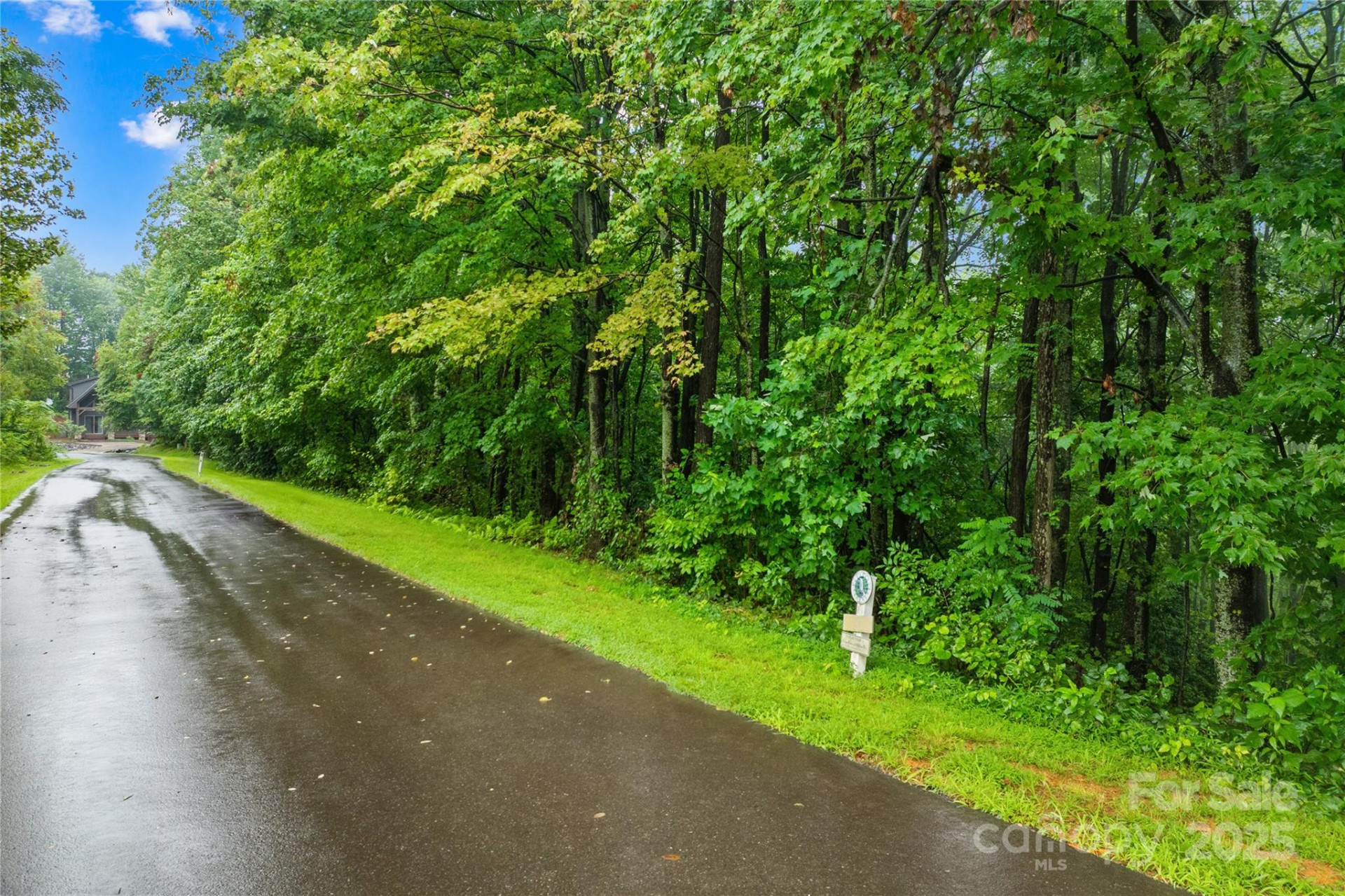 262 Feather Falls Trail #3 - Photo 5