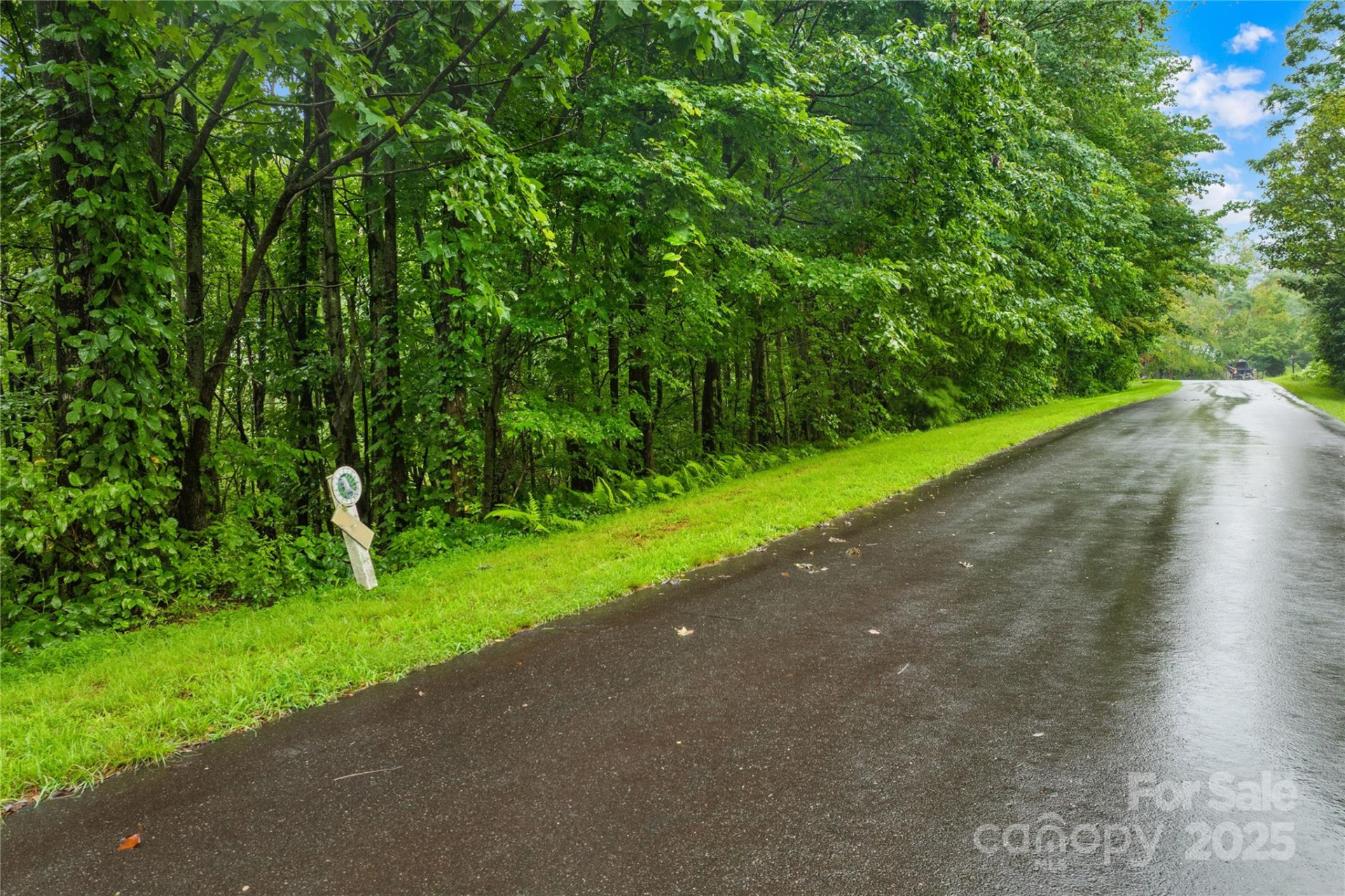 262 Feather Falls Trail #3 - Photo 6