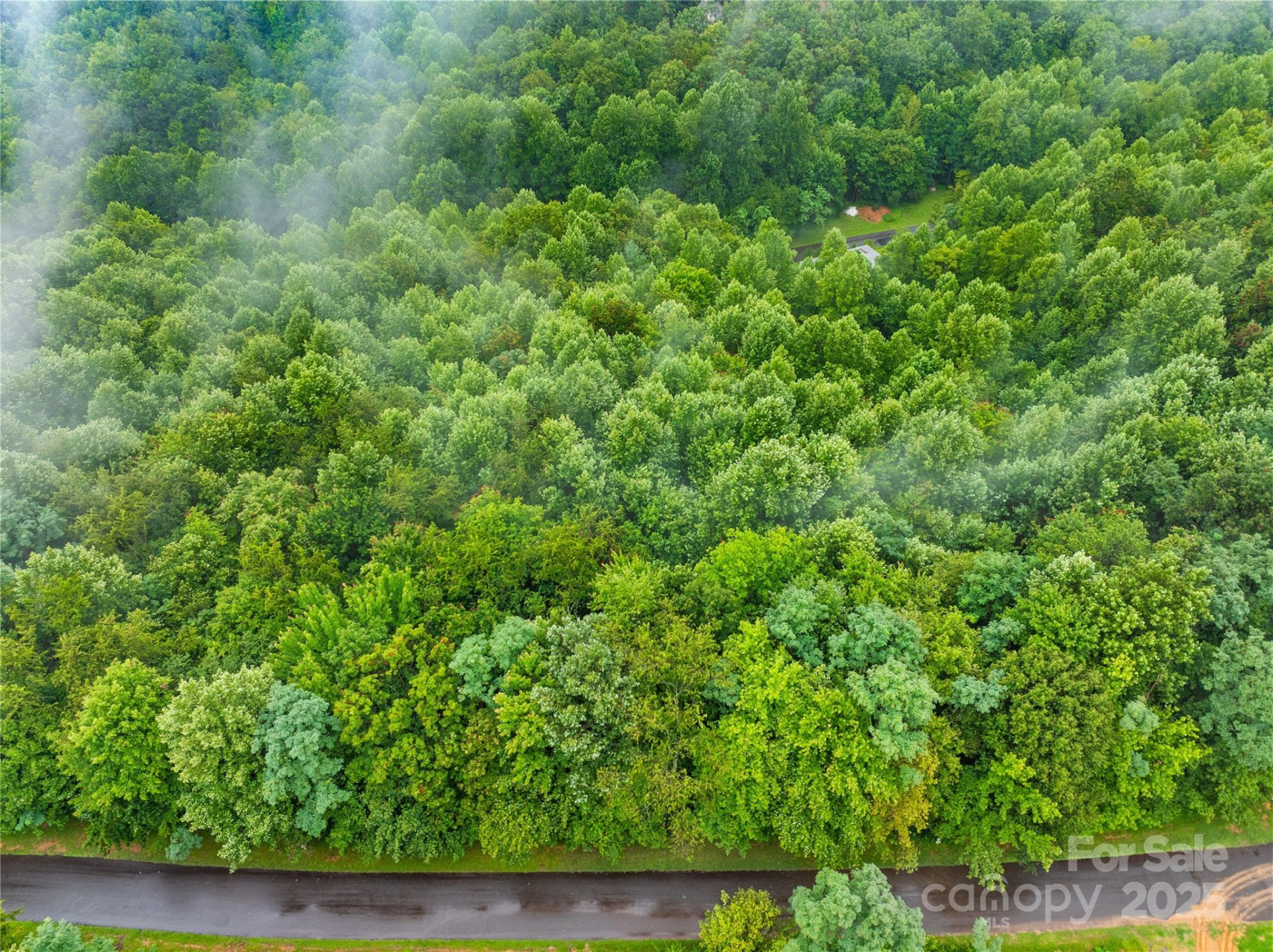 262 Feather Falls Trail #3 - Photo 7