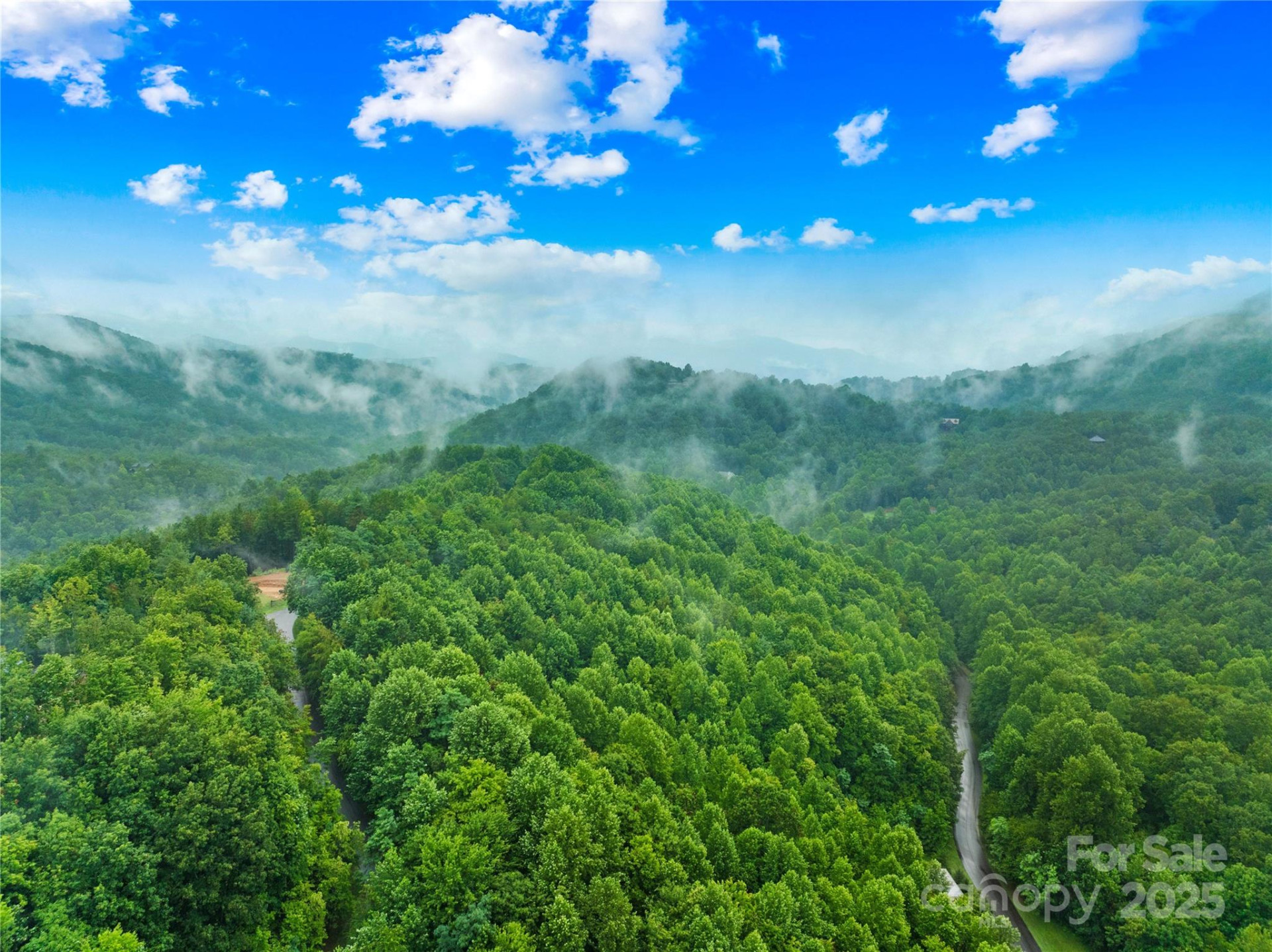 262 Feather Falls Trail #3 - Photo 9