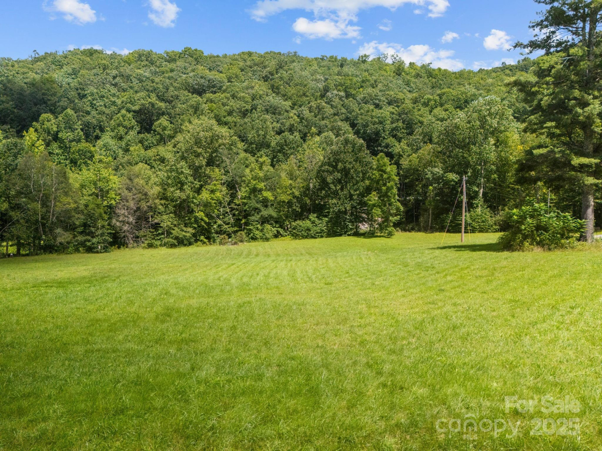 00 Shining Rock Drive #22 - Photo 4