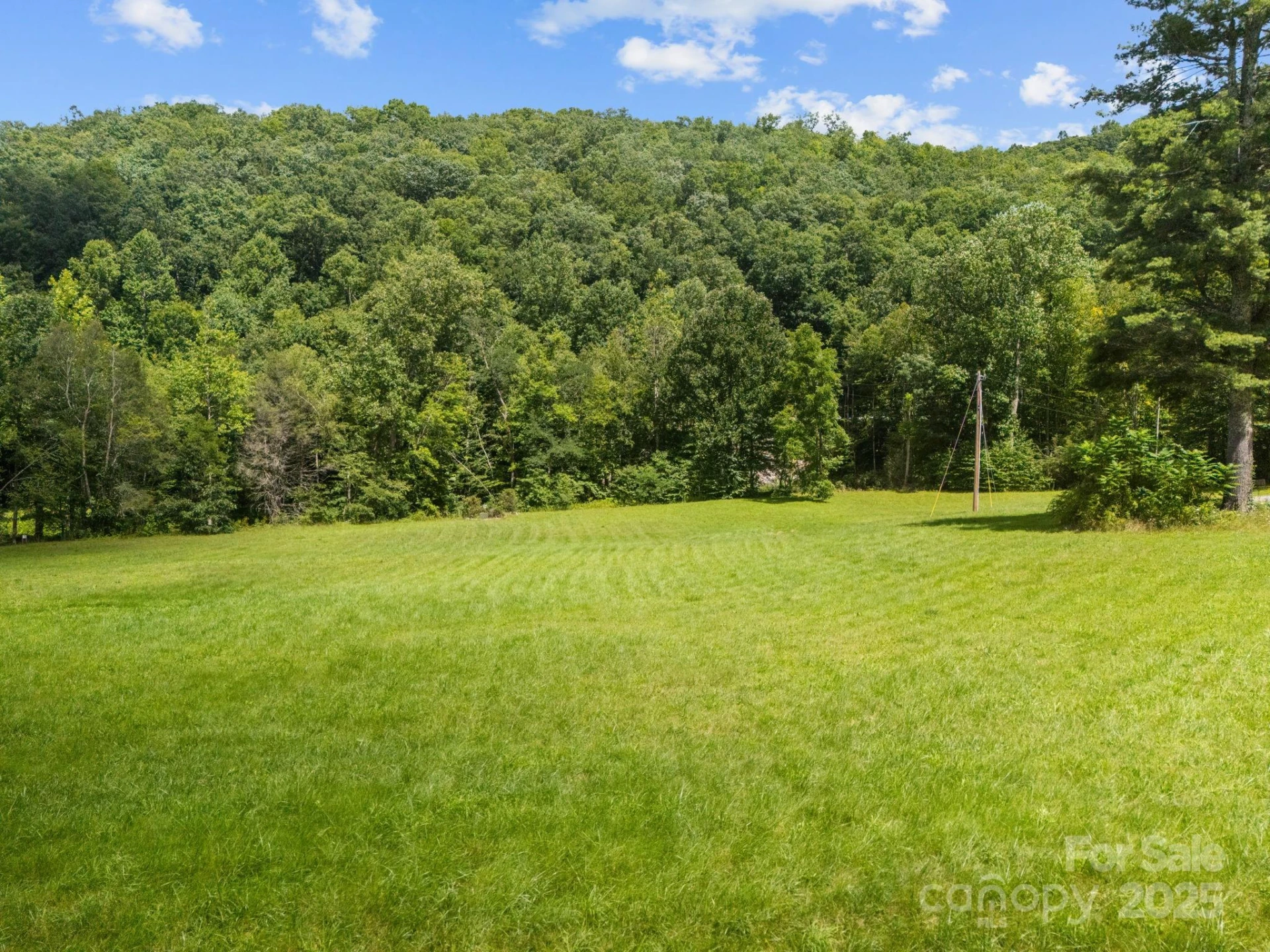 00 Shining Rock Drive #22 - Photo 4