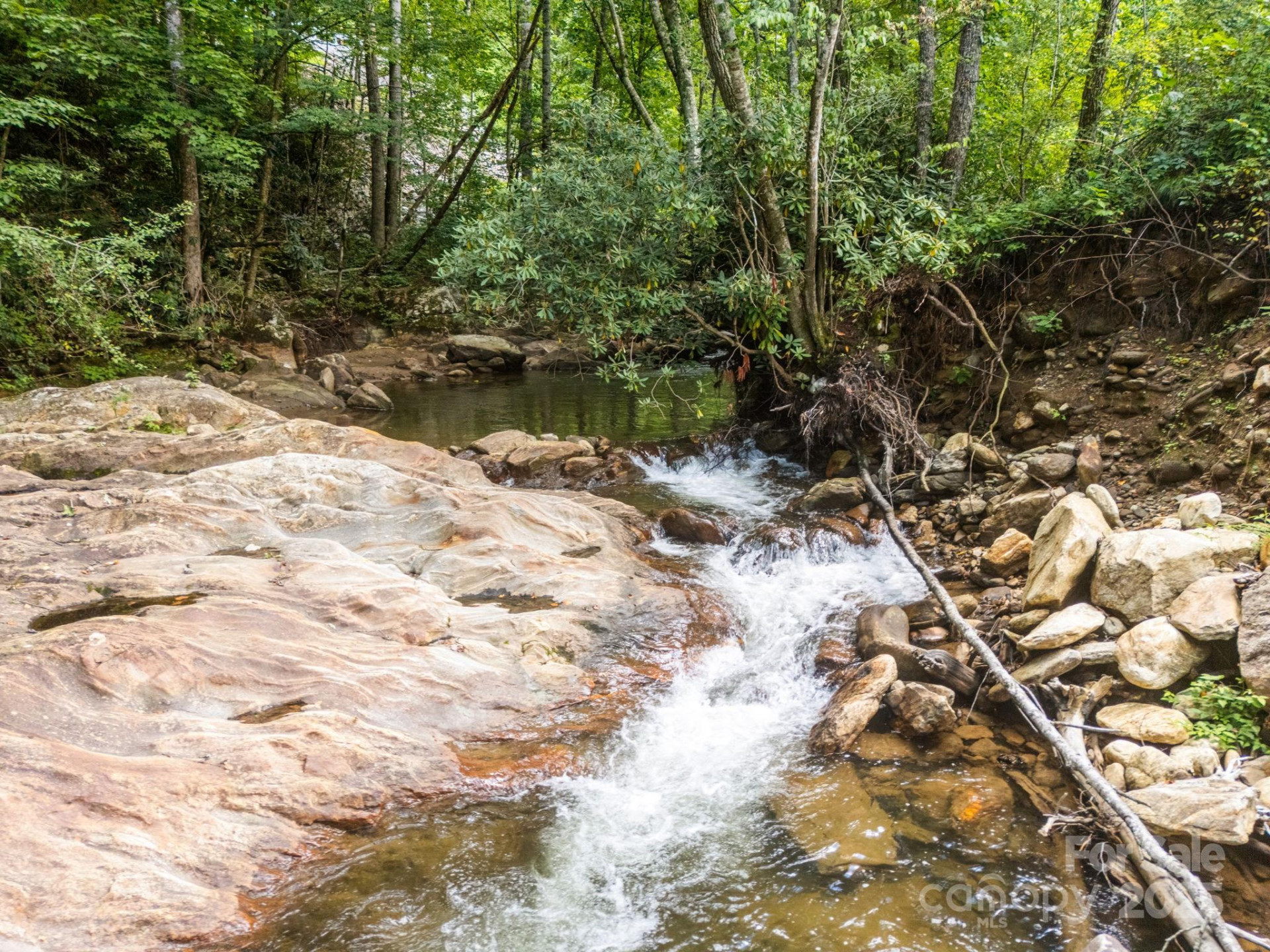 00 Shining Rock Drive #22 - Photo 6