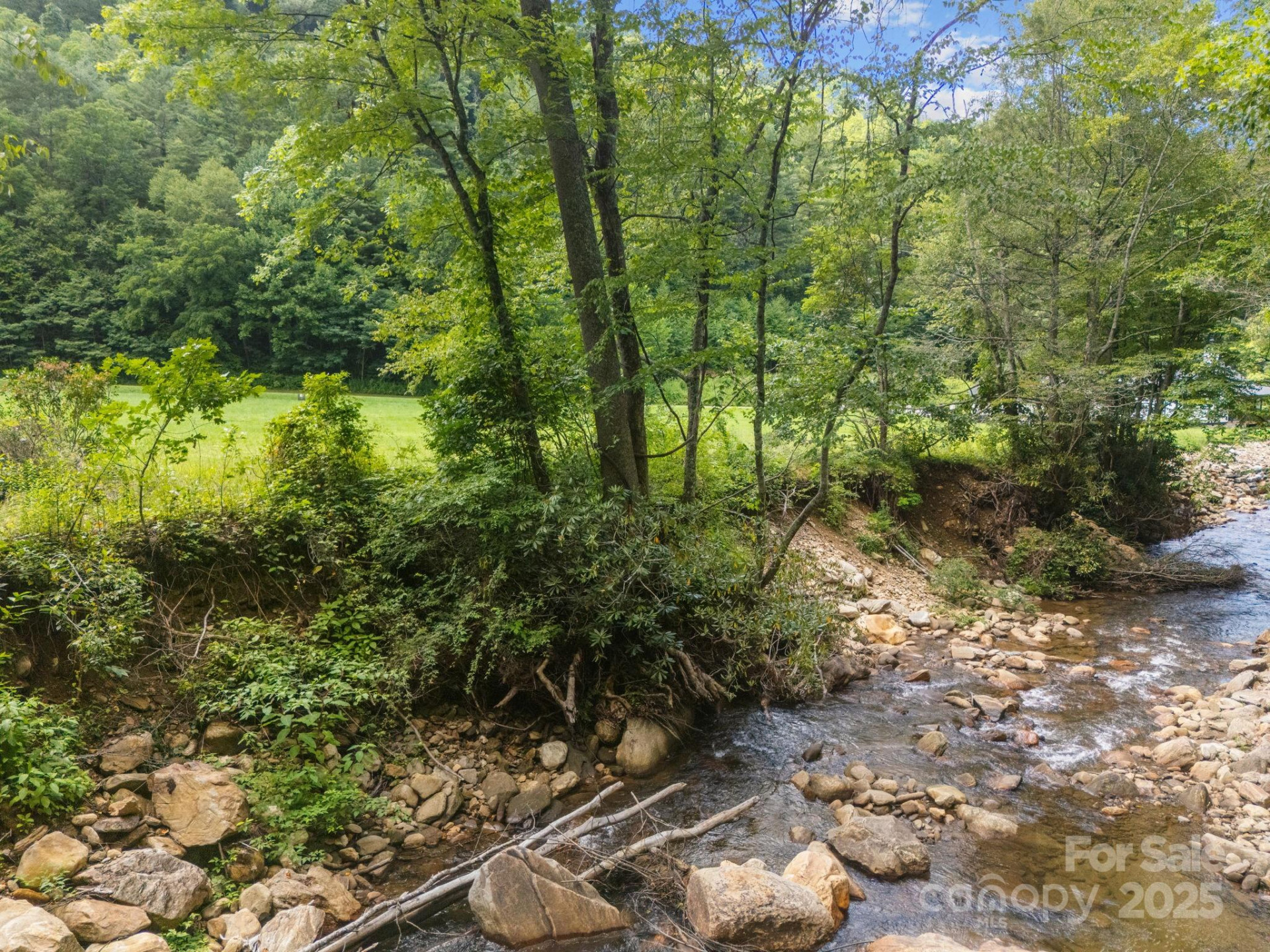 00 Shining Rock Drive #22 - Photo 7