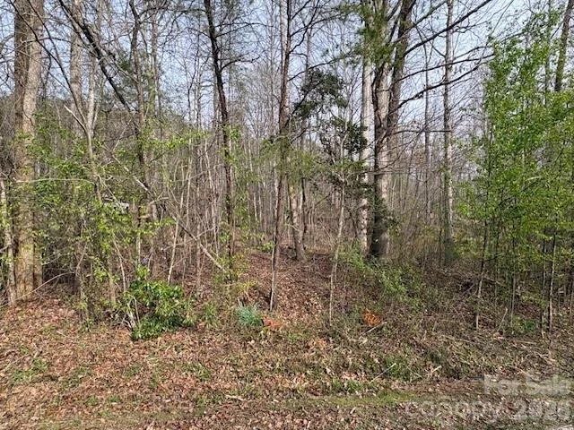 3845 Laurel Heights Drive - Photo 7