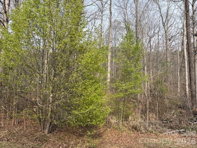 3845 Laurel Heights Drive - Photo 8