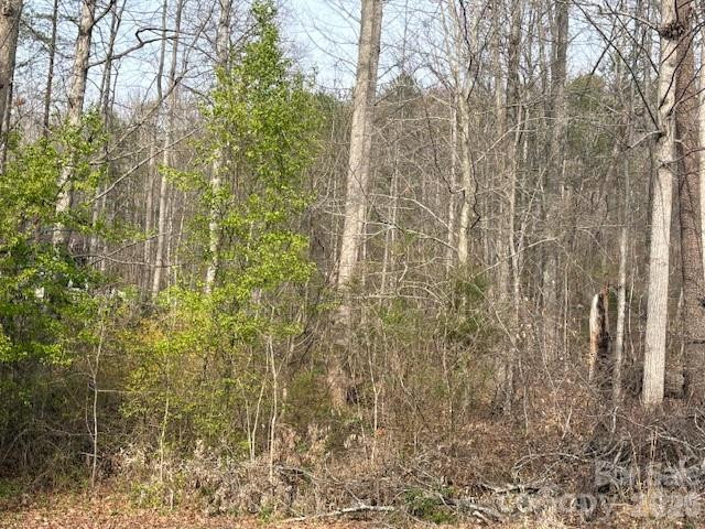 3845 Laurel Heights Drive - Photo 9