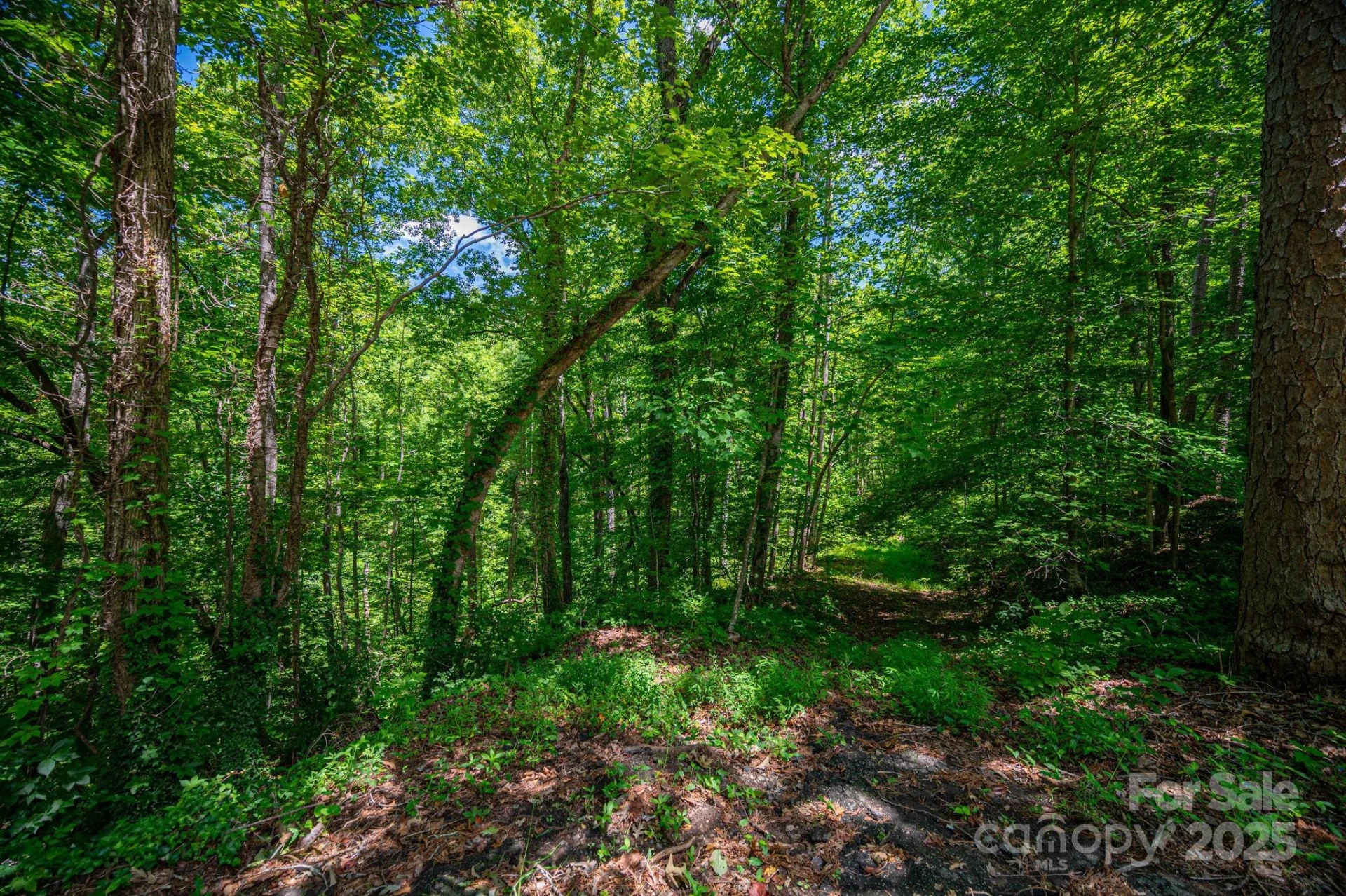 LOT 168 Plantation Drive - Photo 2