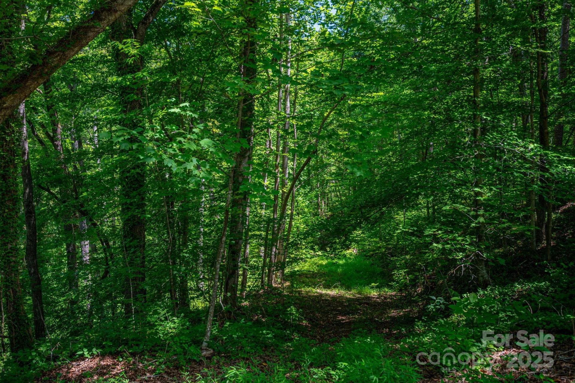 LOT 168 Plantation Drive - Photo 5
