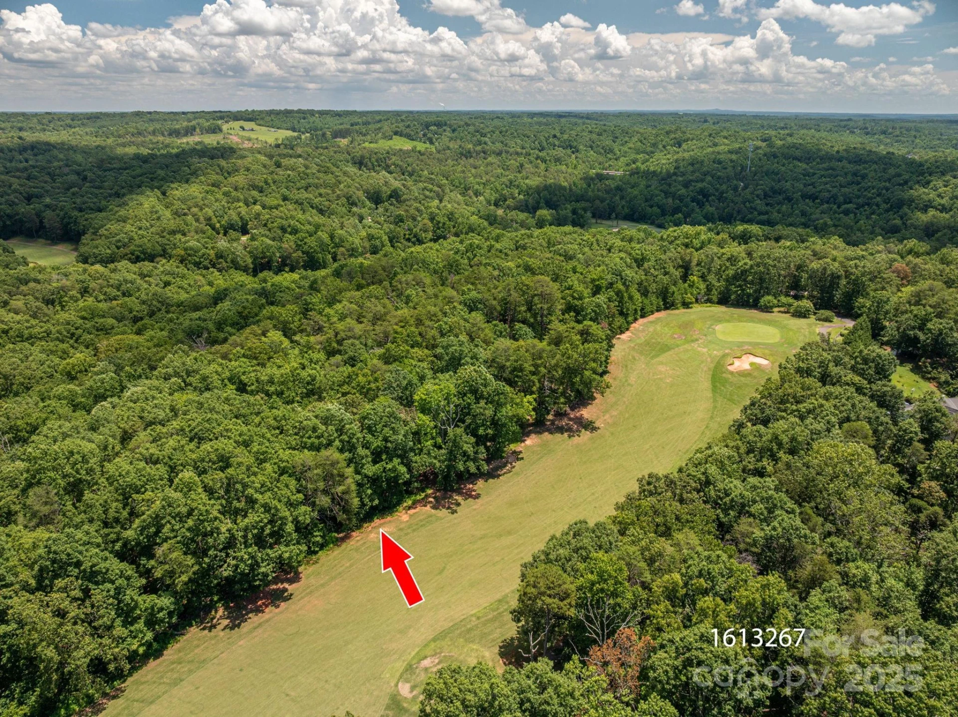 Lot 217 Plantation Drive - Photo 4