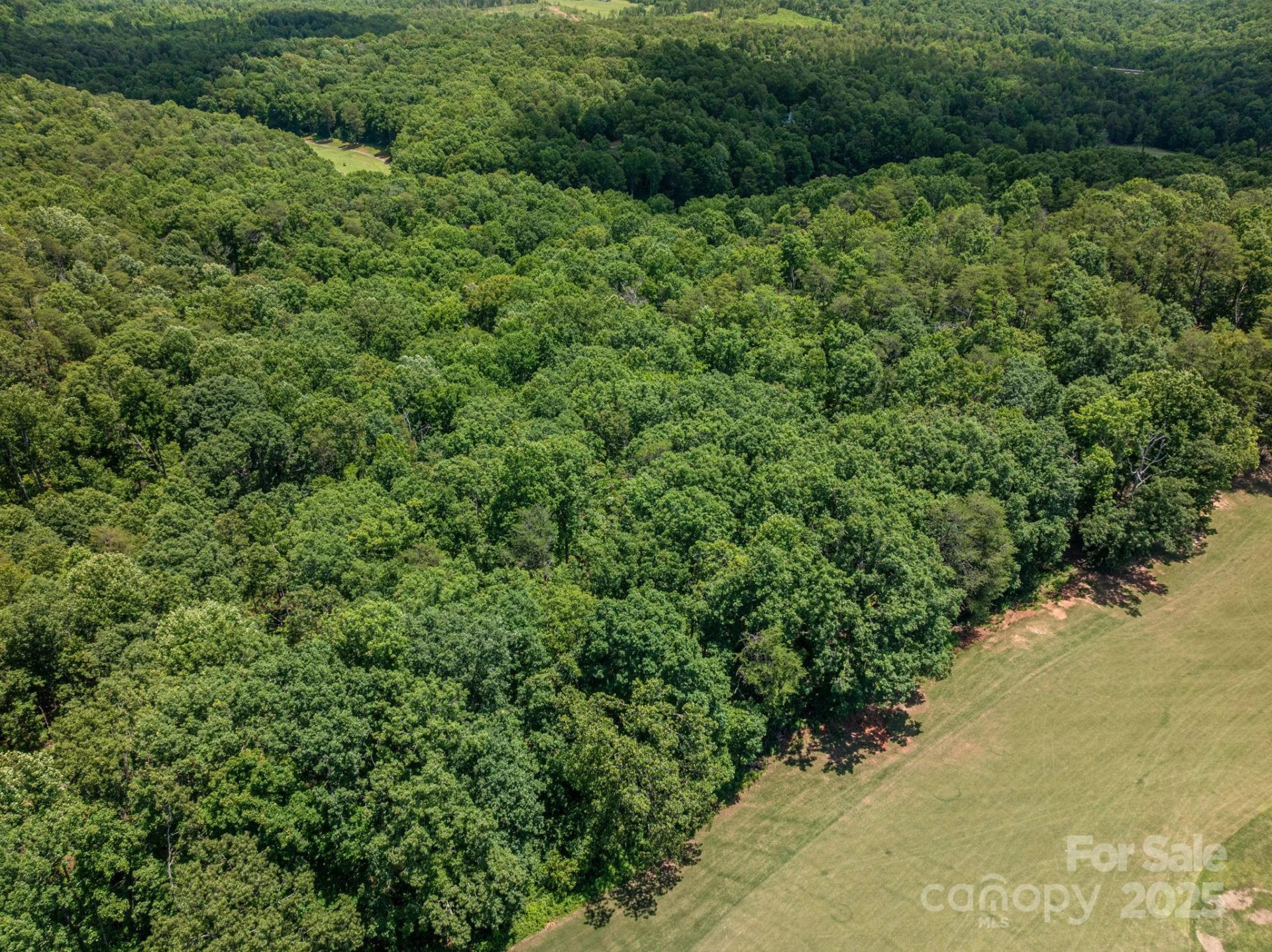 Lot 217 Plantation Drive - Photo 6