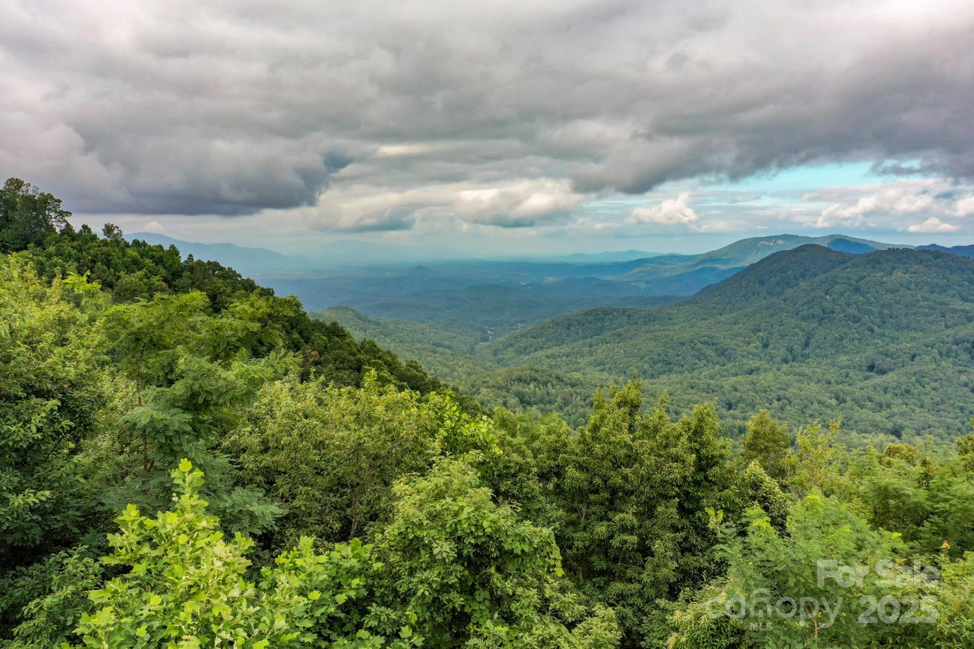 9999 High Cliffs Trail - Photo 2
