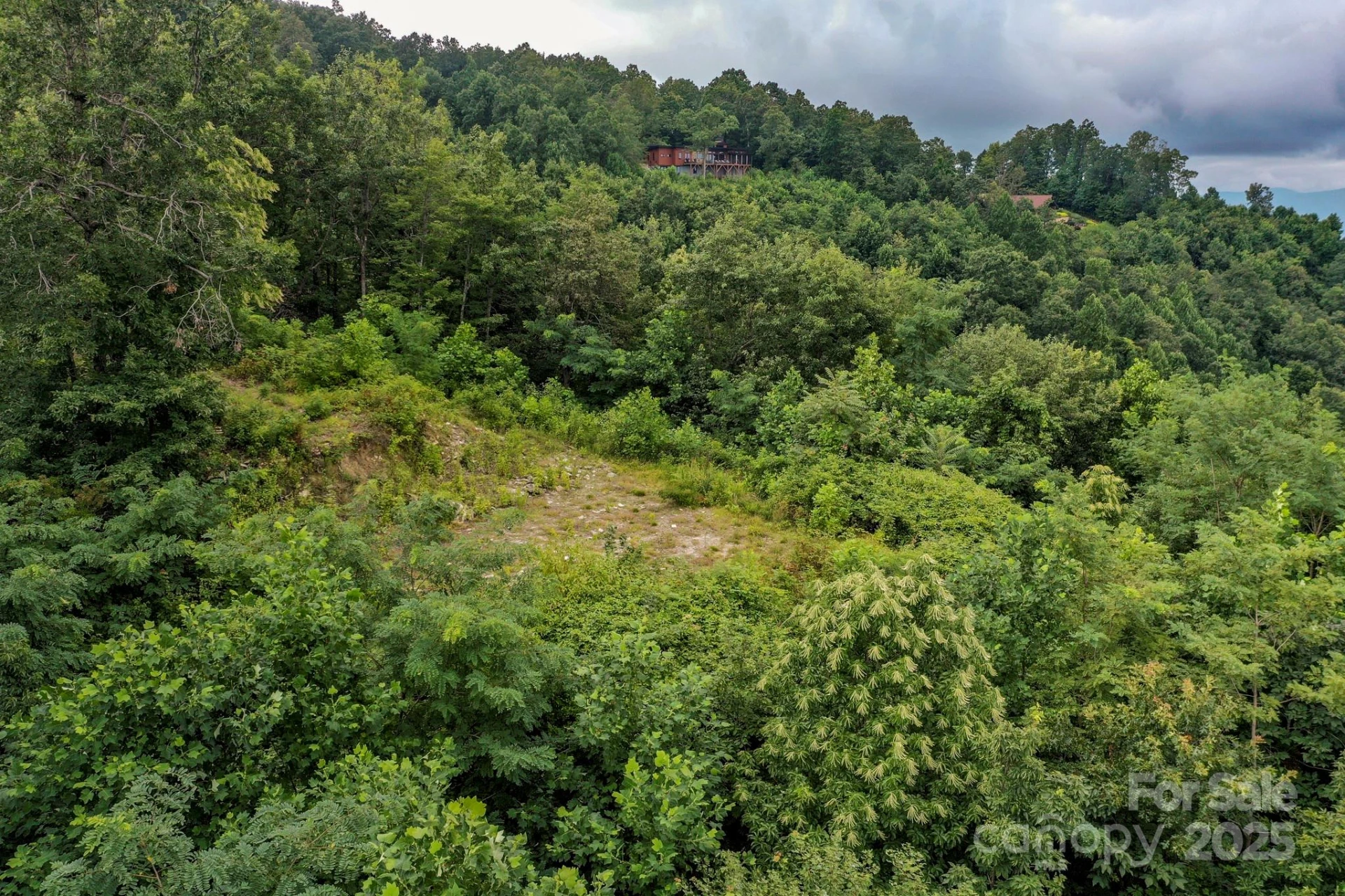 9999 High Cliffs Trail - Photo 12