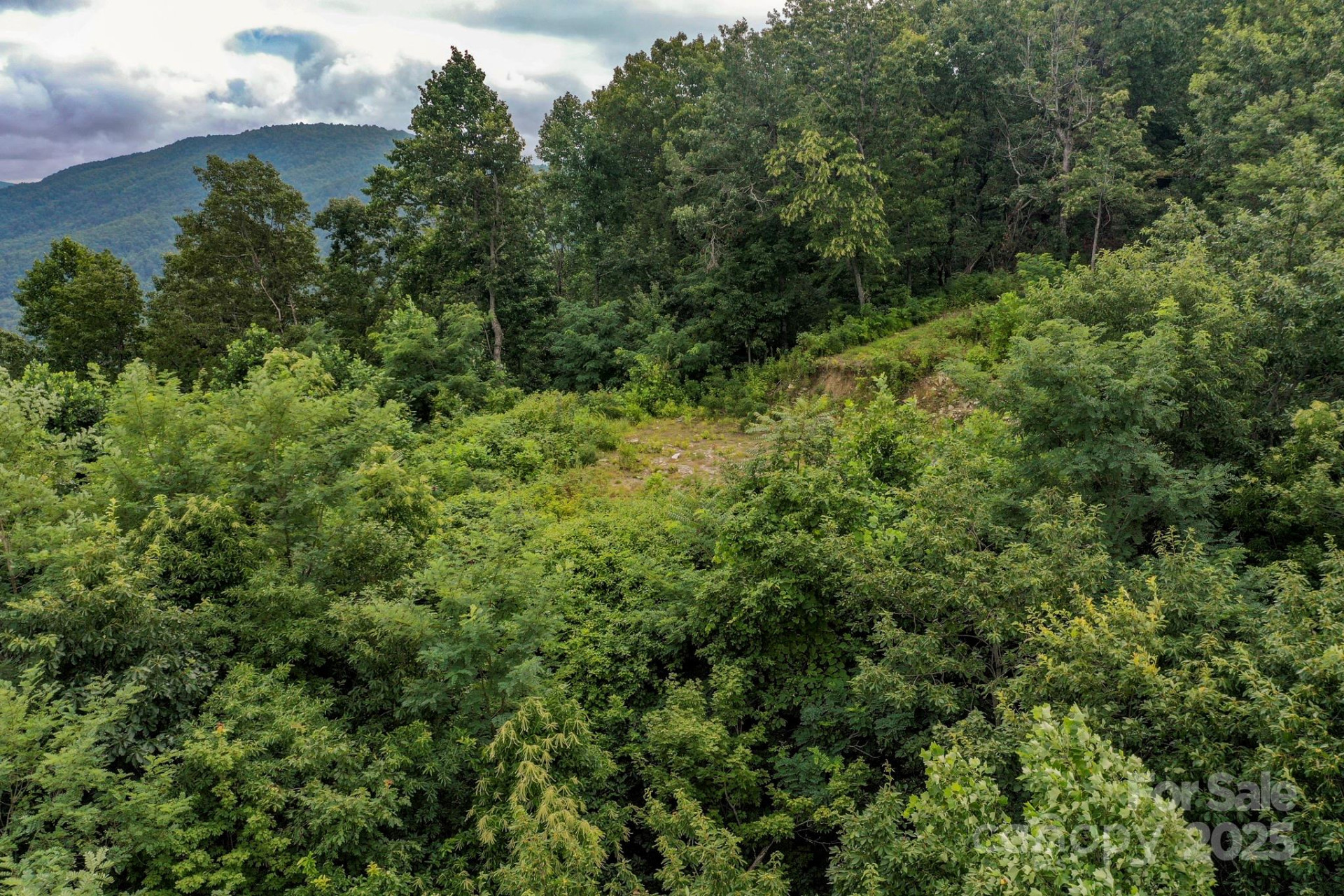 9999 High Cliffs Trail - Photo 13