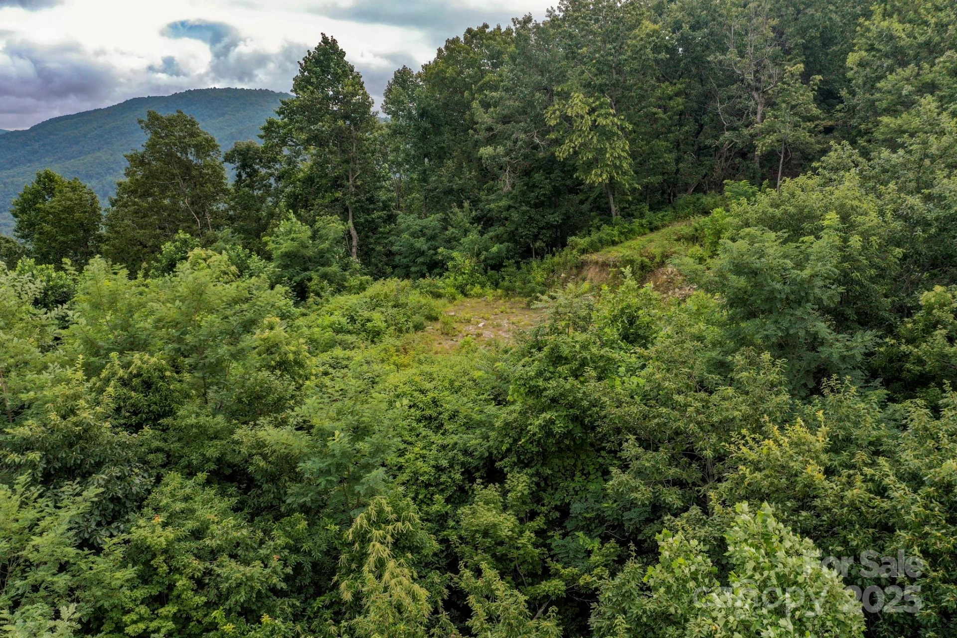 9999 High Cliffs Trail - Photo 13