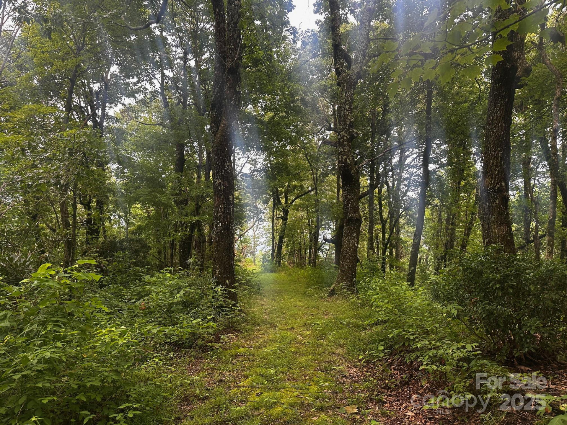 9999 High Cliffs Trail - Photo 14