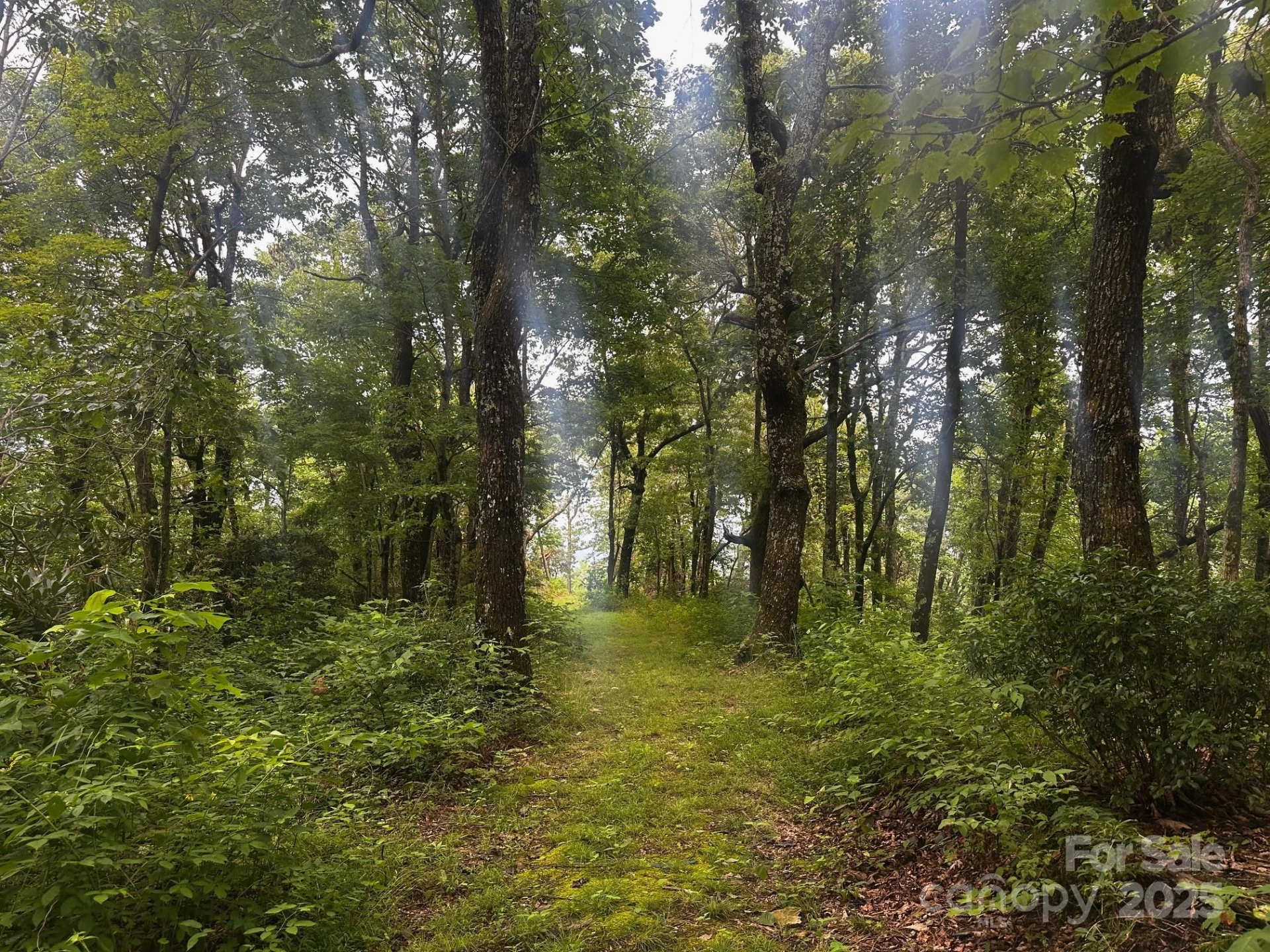 9999 High Cliffs Trail - Photo 14