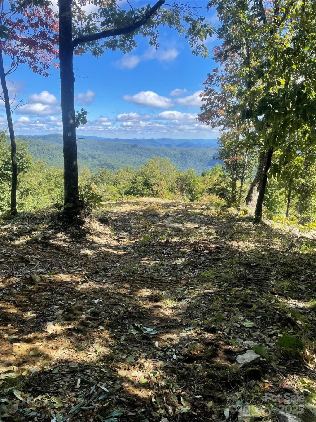 9999 High Cliffs Trail - Photo 16